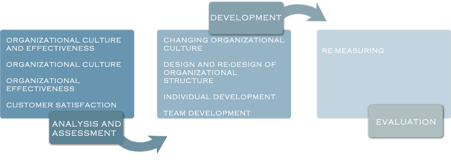 en-organizacioni-razvoj-dijagram